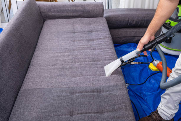 sofa cleaning in Maple 2
